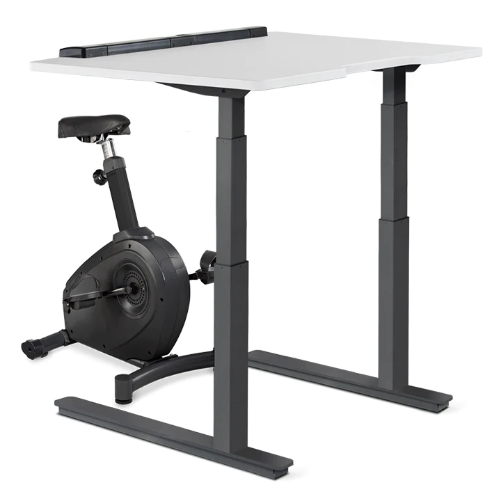 Bike Desk LifeSpan Business