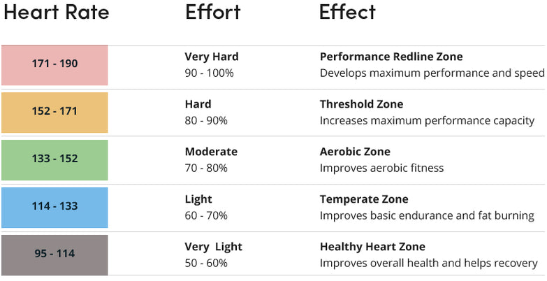 Heart Pulse Rate Chart